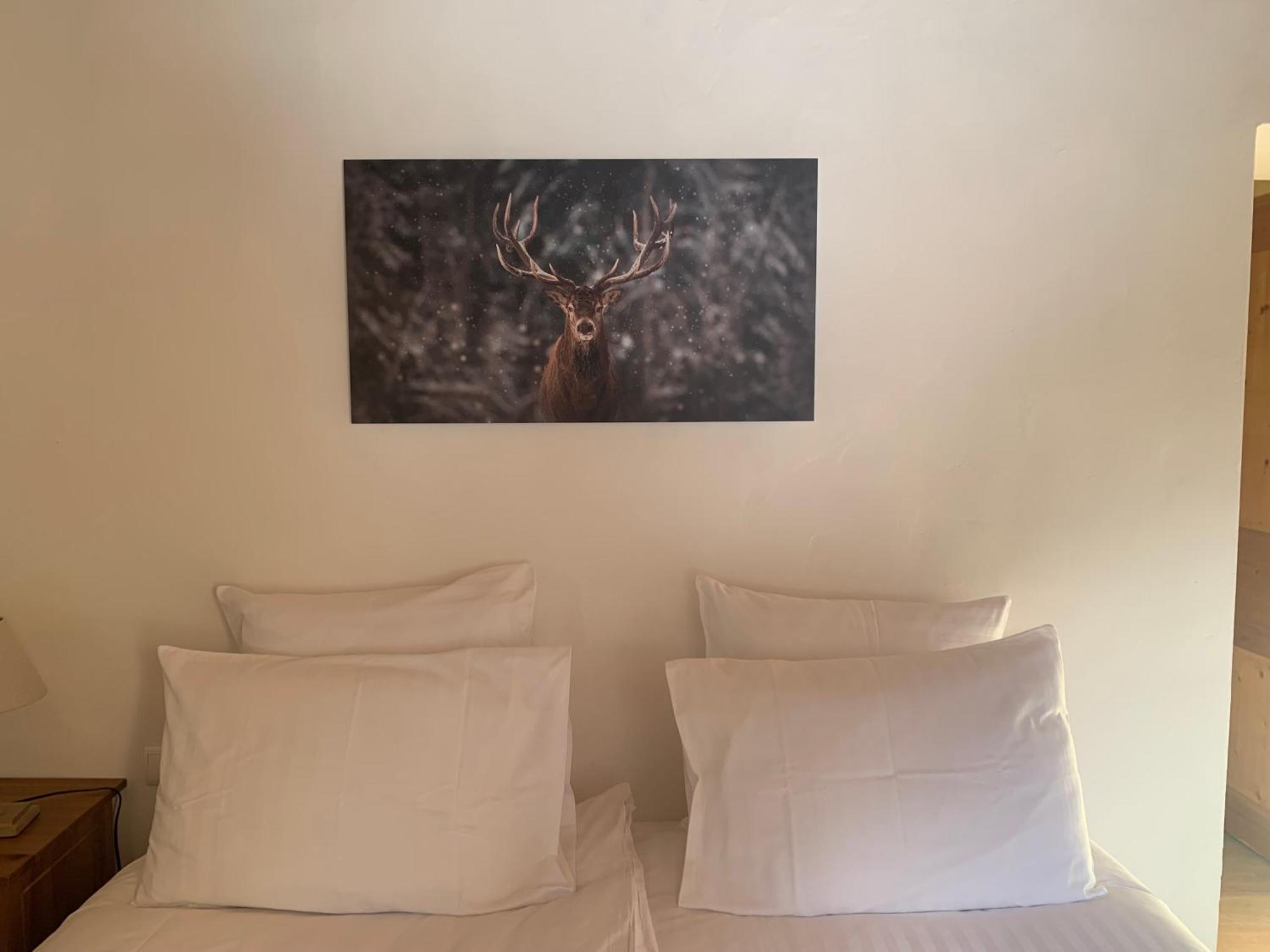 Inspiration Montagne Chambre D'Hotes Névache エクステリア 写真